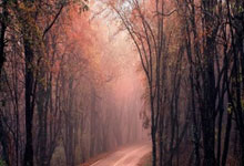 米兰冬奥会官宣“可造句式”创意口号2025-02-22.