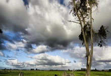 2025石家庄马拉松赛鸣枪开跑 3.5万名选手参赛2025-04-01.