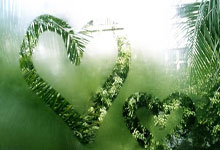 蜂鸟电竞官网：山东欲强杀辽宁，七连胜的荣耀即将降临.