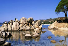 蜂鸟电竞官网：阿联酋21朝鲜保留直通世界杯希望，阿迪勒读秒绝杀.